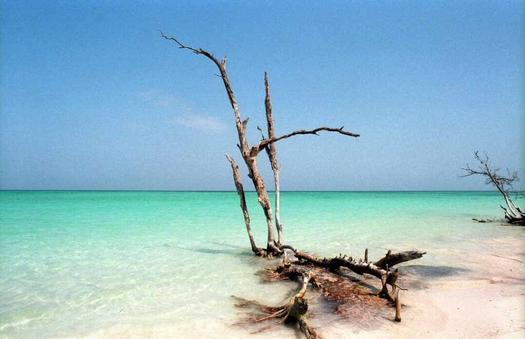 Playa Cayo Jutia. 
